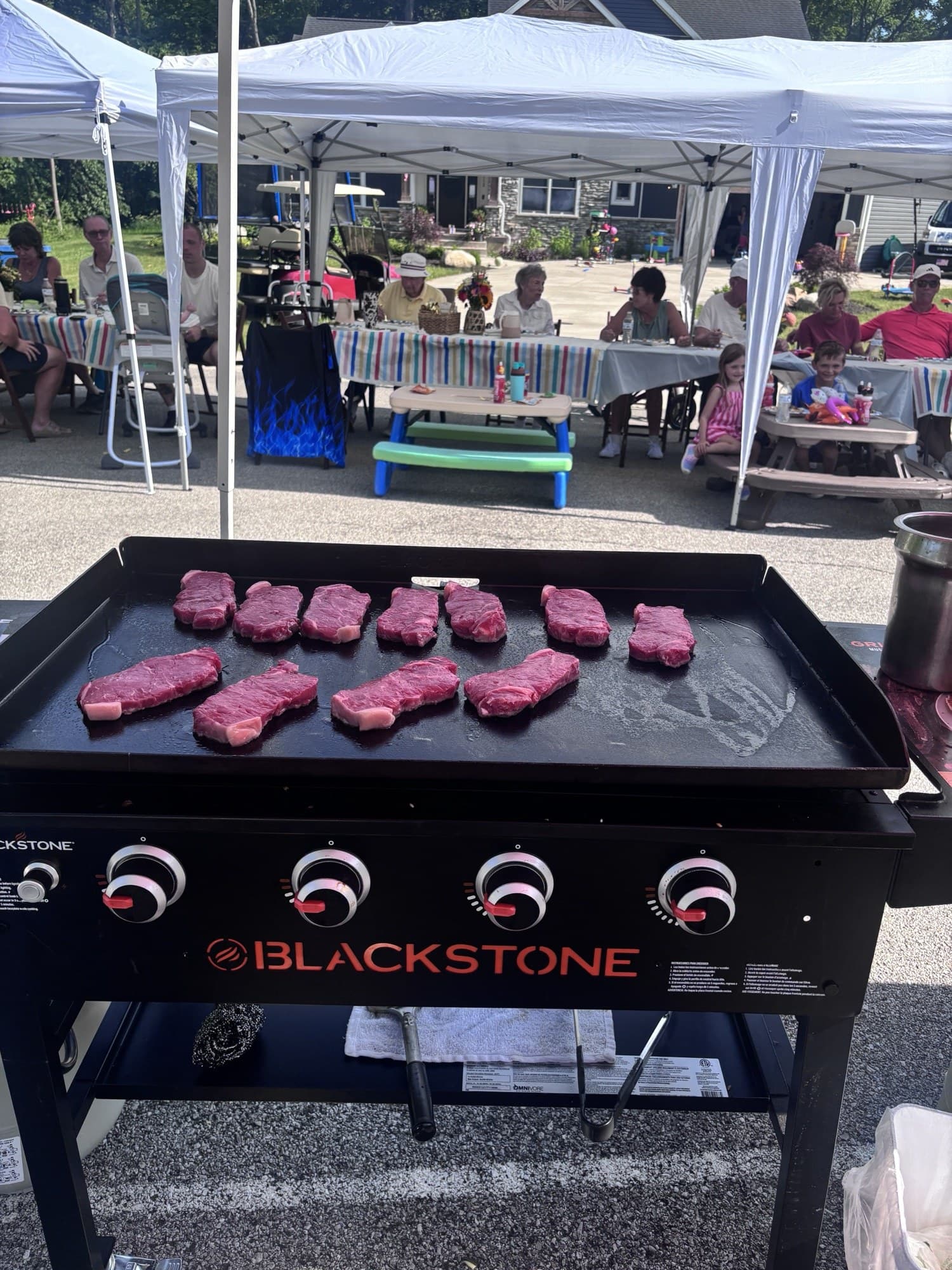 Backyard Hibachi party